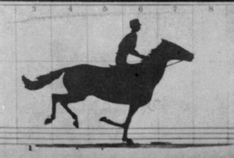Eadweard Muybridge's 1878 sequential photographs of a galloping horse, animated as a loop.